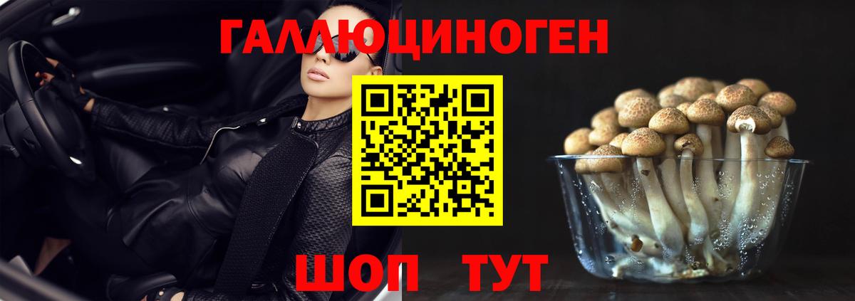 Псилоцибиновые грибы мицелий  цена   Сухой Лог  Вход с VPN 